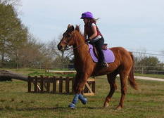 Horse Riding at Lake Balaton