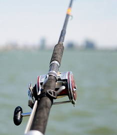 Fishing on Lake Balaton