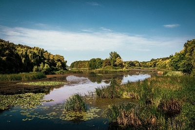 Kis-Balaton wetlands
